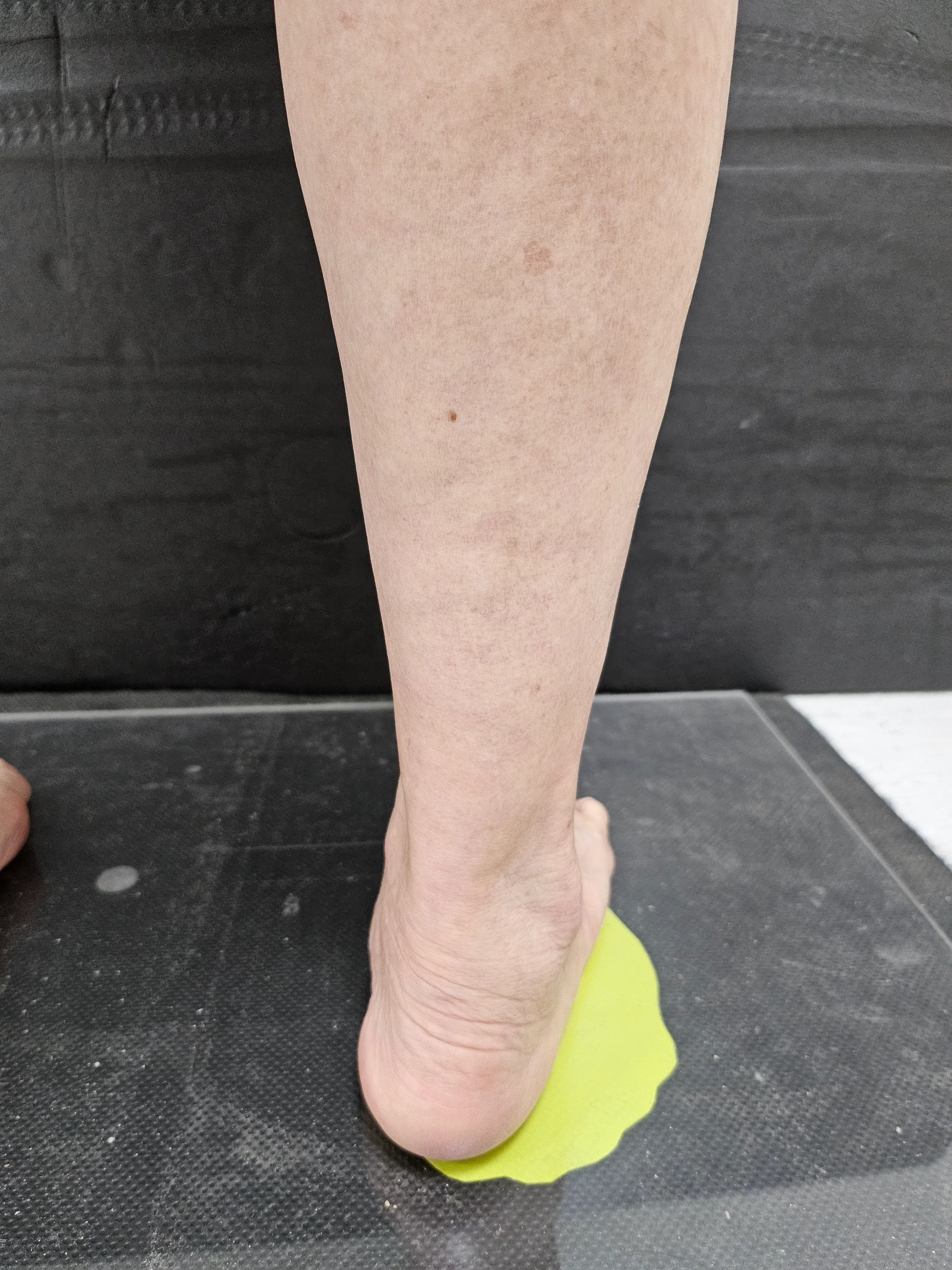 Ankle stability visual